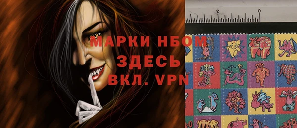 стаф Волосово