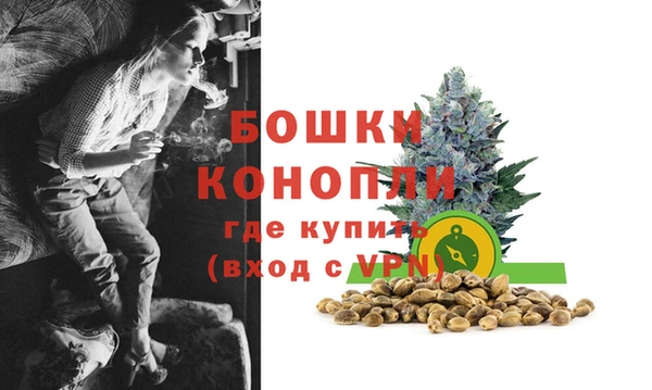 стаф Волосово