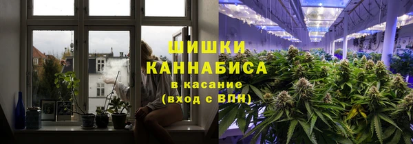 стаф Волосово