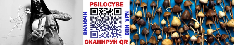 Галлюциногенные грибы мицелий Купить Приволжск